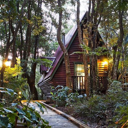 The Mouses House Rainforest Retreat Springbrook Ngoại thất bức ảnh