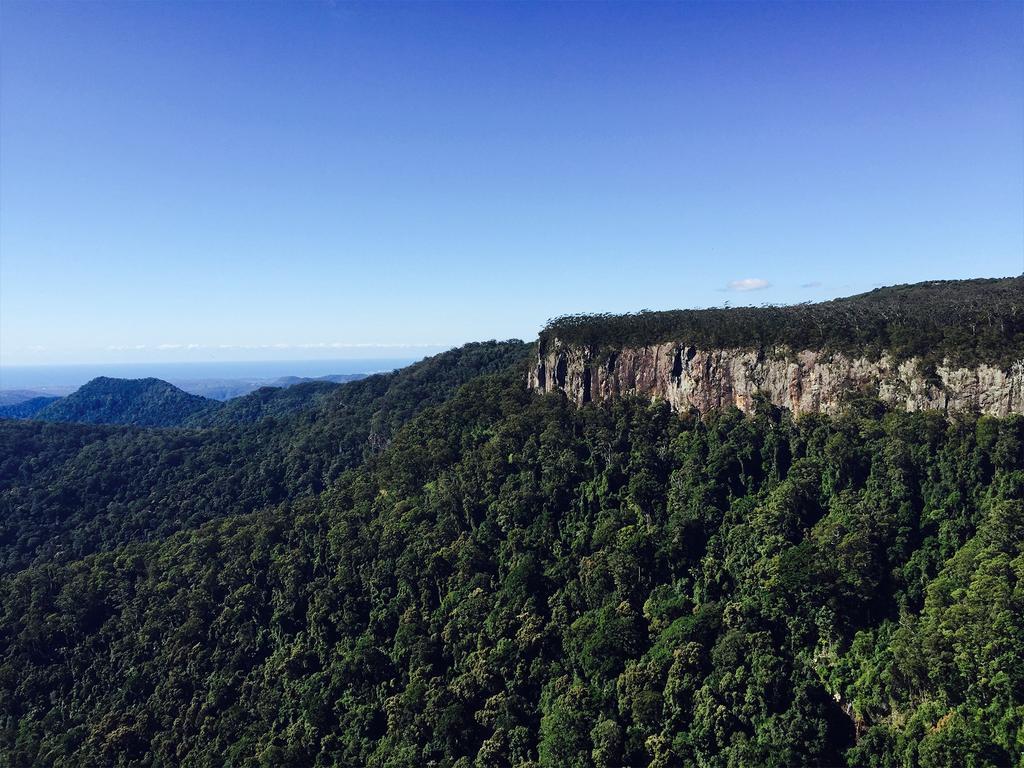 The Mouses House Rainforest Retreat Springbrook Ngoại thất bức ảnh