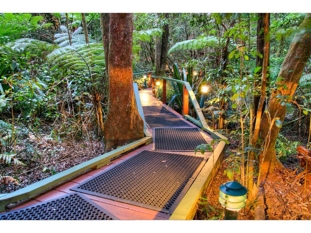 The Mouses House Rainforest Retreat Springbrook Ngoại thất bức ảnh
