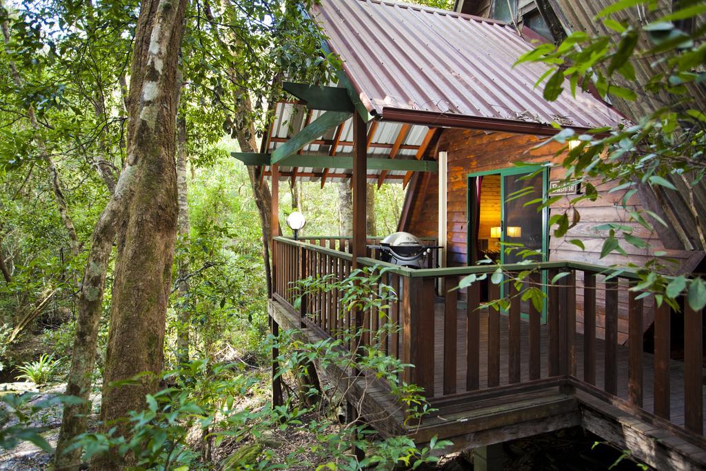 The Mouses House Rainforest Retreat Springbrook Ngoại thất bức ảnh