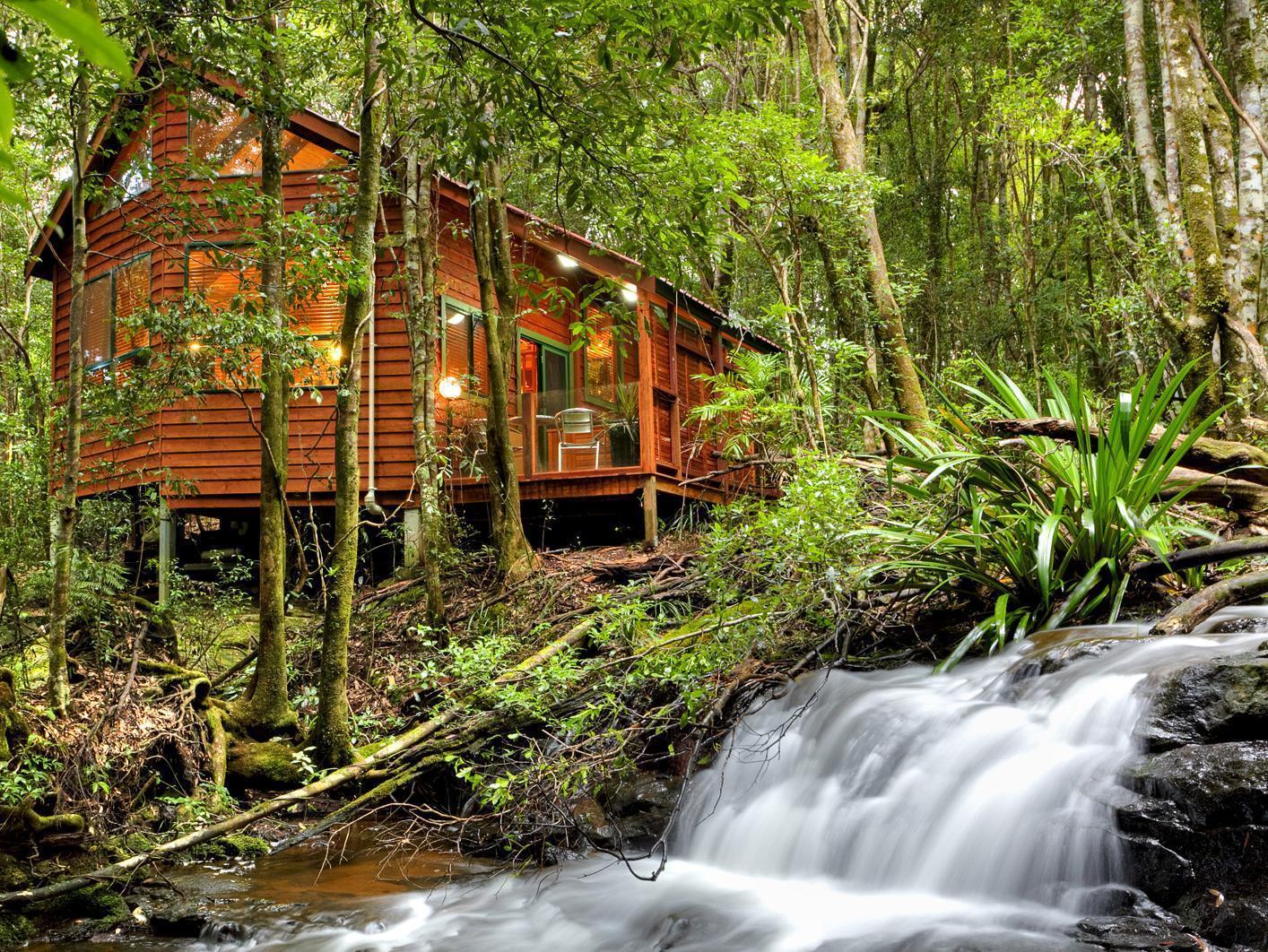The Mouses House Rainforest Retreat Springbrook Ngoại thất bức ảnh