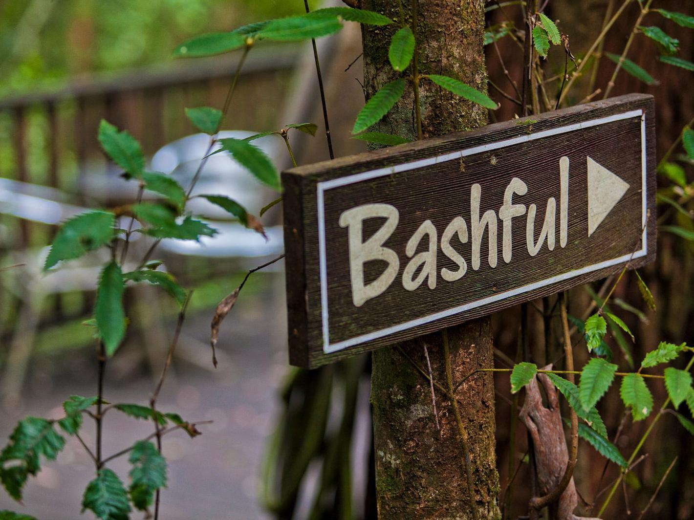 The Mouses House Rainforest Retreat Springbrook Ngoại thất bức ảnh