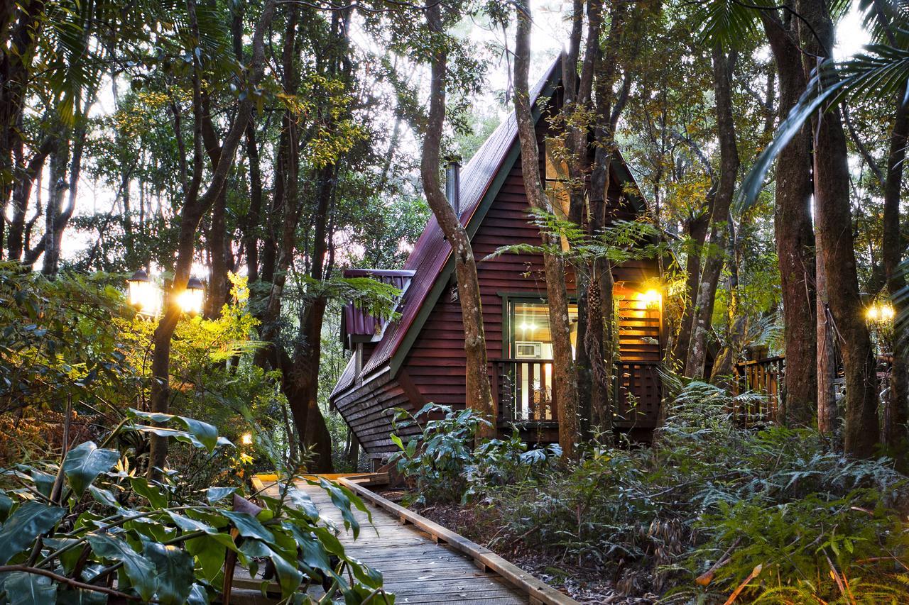 The Mouses House Rainforest Retreat Springbrook Ngoại thất bức ảnh