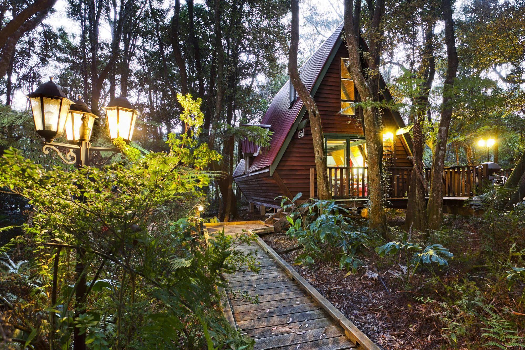 The Mouses House Rainforest Retreat Springbrook Ngoại thất bức ảnh