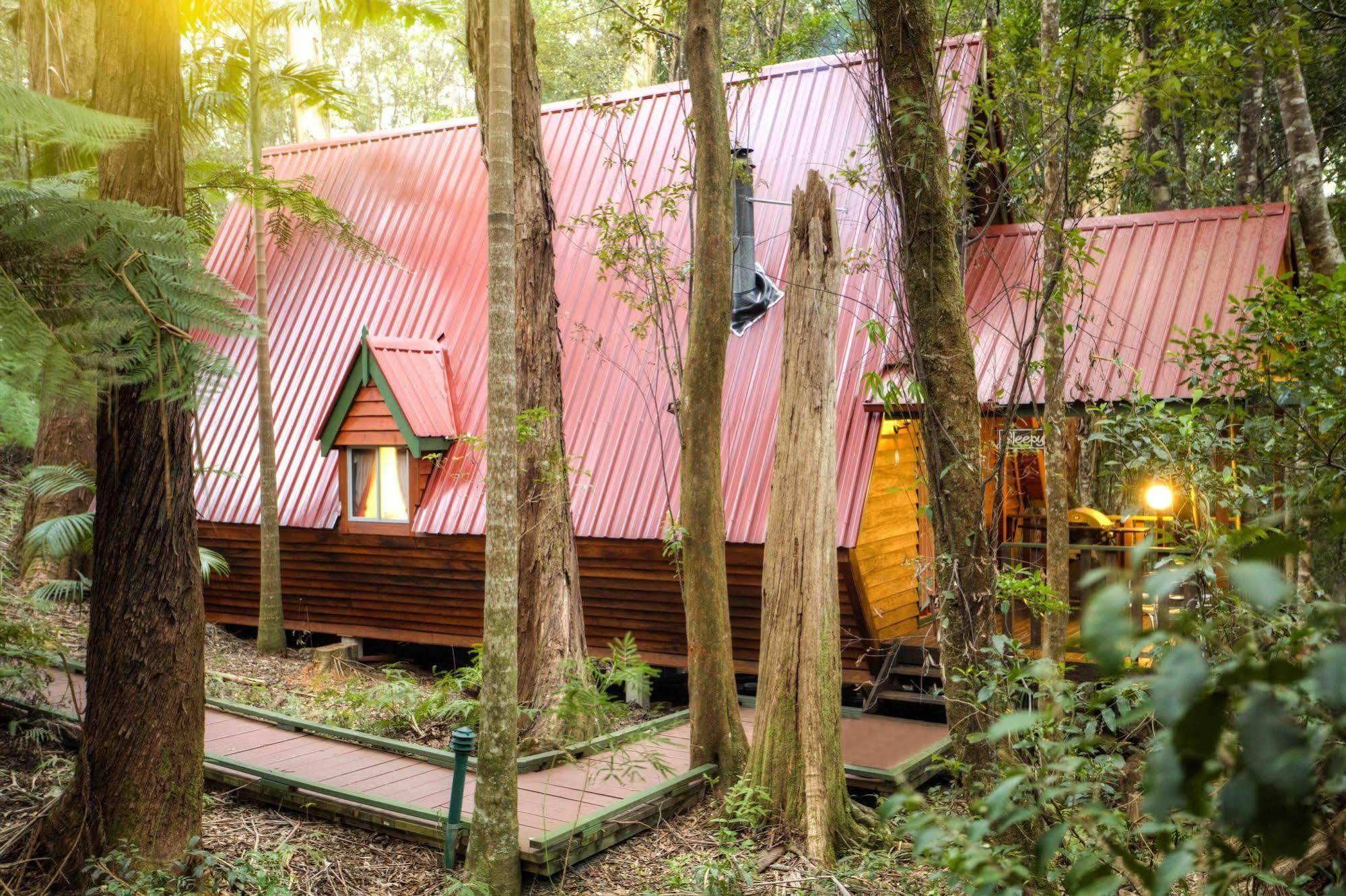 The Mouses House Rainforest Retreat Springbrook Ngoại thất bức ảnh