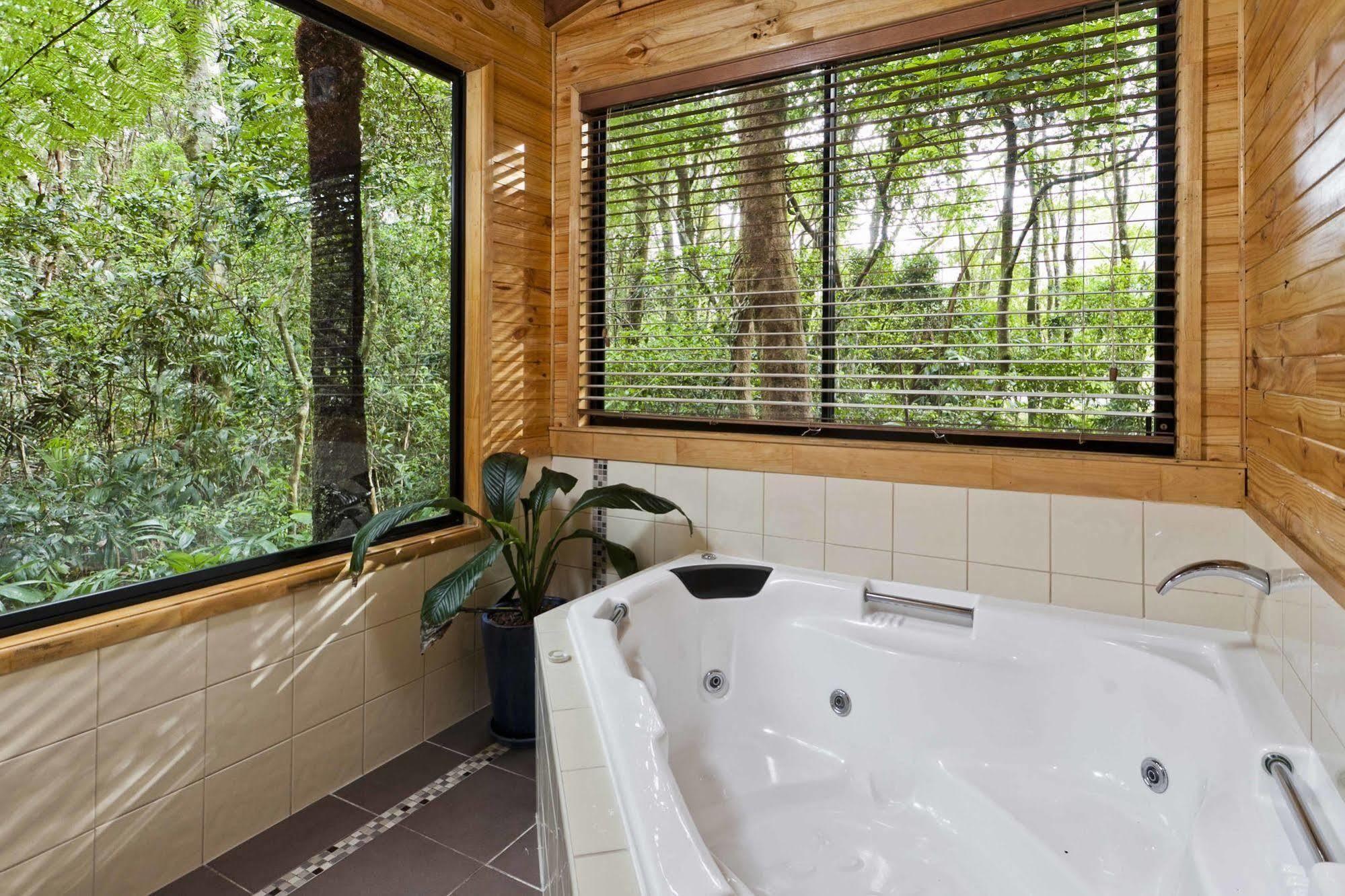 The Mouses House Rainforest Retreat Springbrook Ngoại thất bức ảnh
