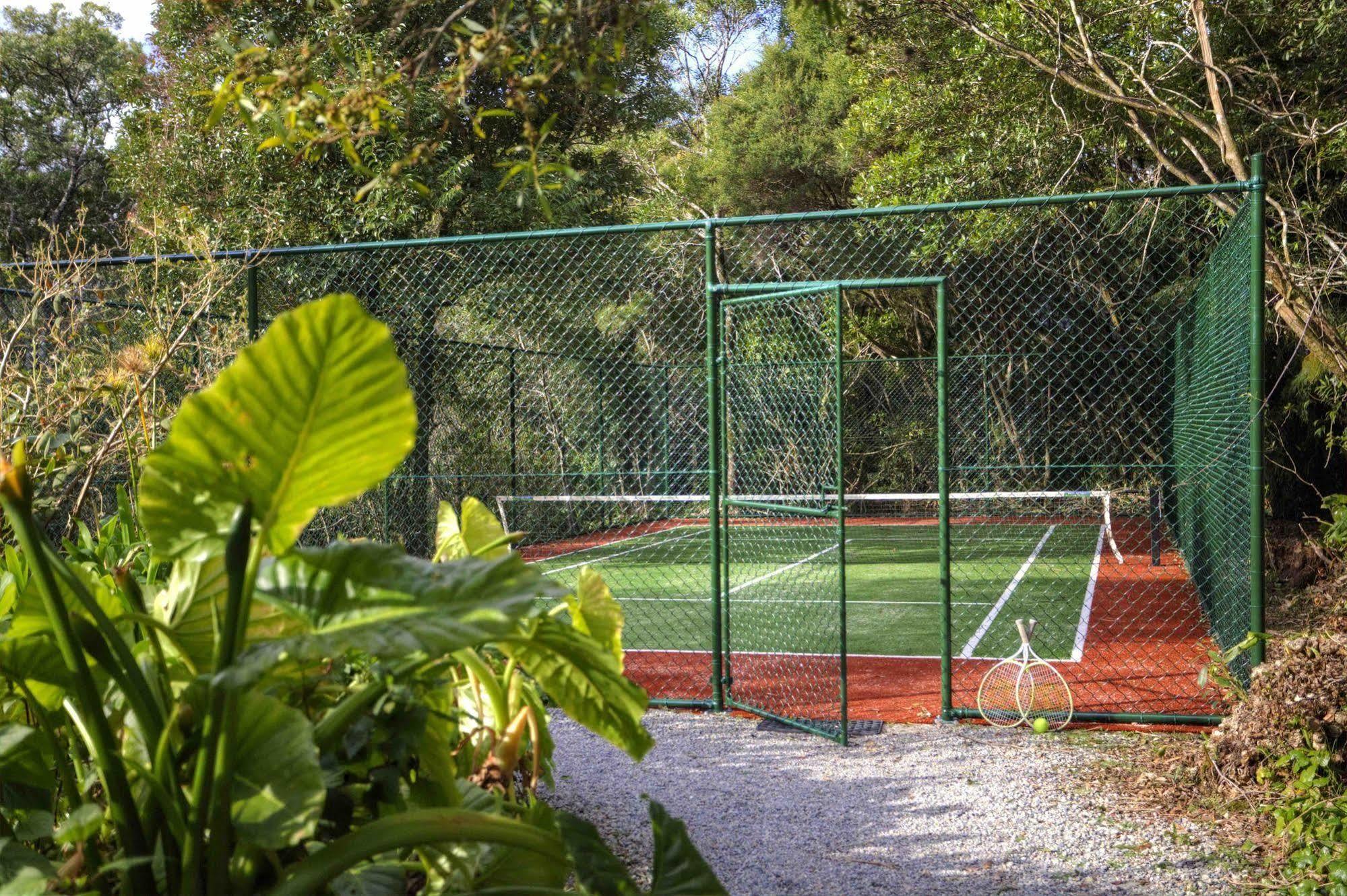 The Mouses House Rainforest Retreat Springbrook Ngoại thất bức ảnh